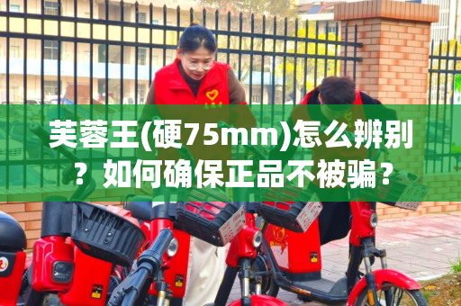 芙蓉王(硬75mm)怎么辨别？如何确保正品不被骗？